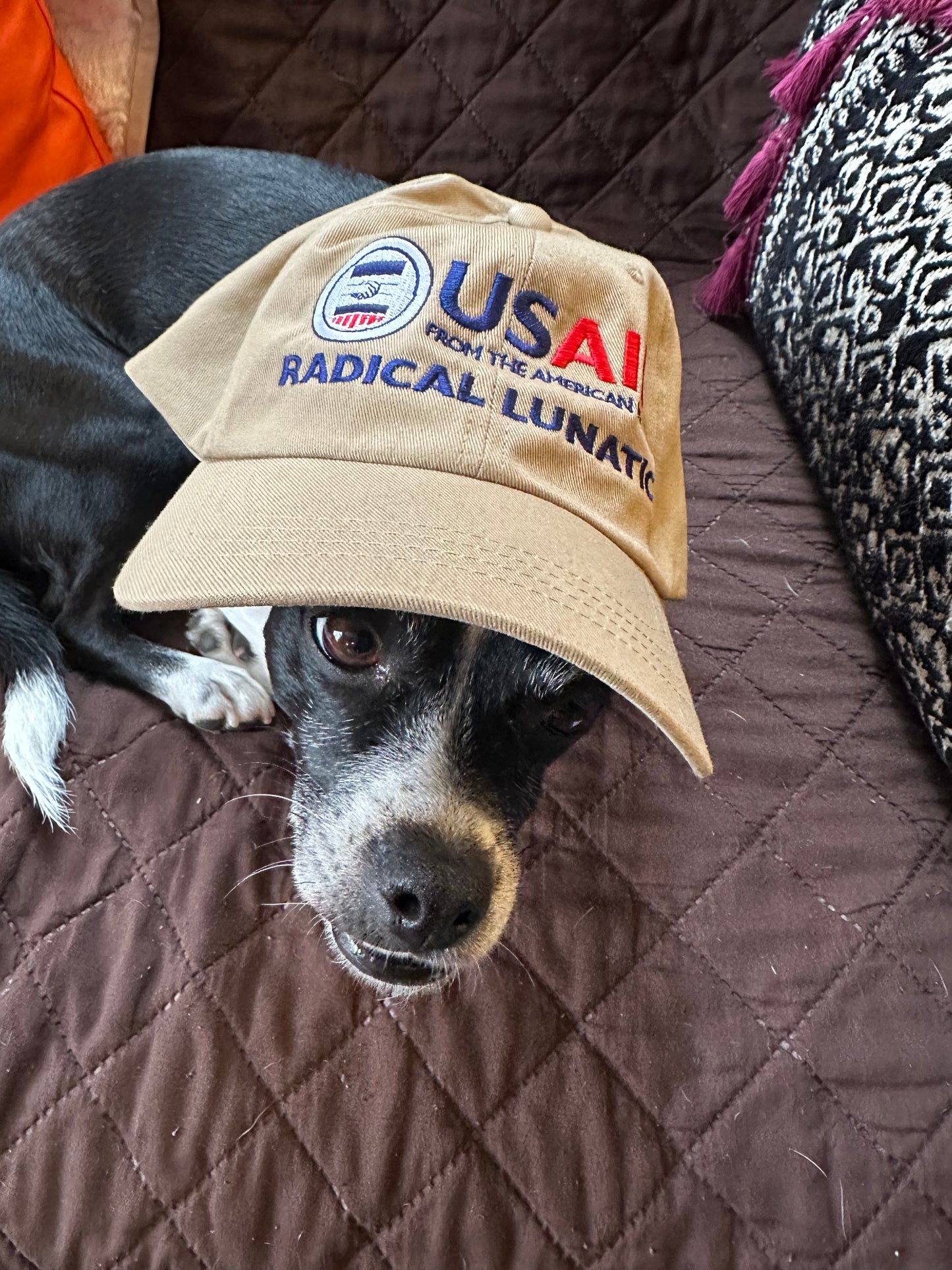 USAID Radical Lunatic baseball hat