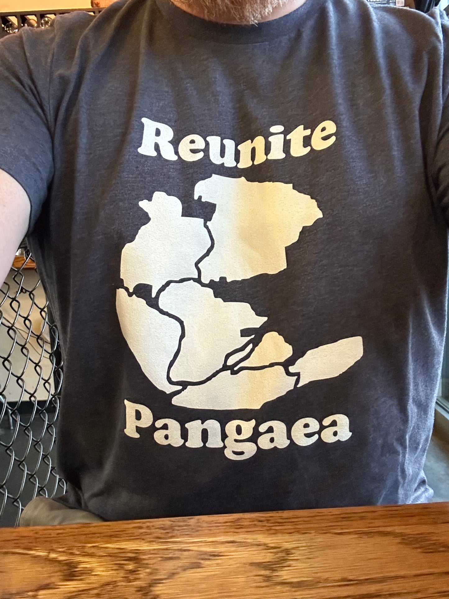 Reunite Pangaea t-shirt
