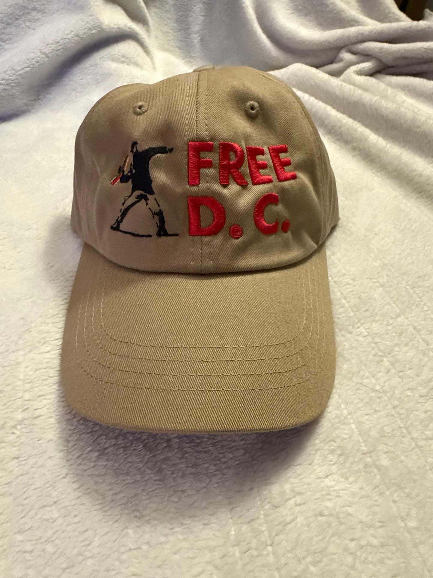 Free D.C. Sandwich Guy embroidered hat