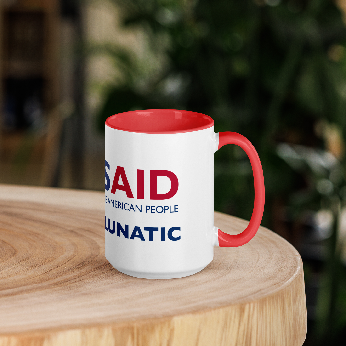 USAID Radical Lunatic mug