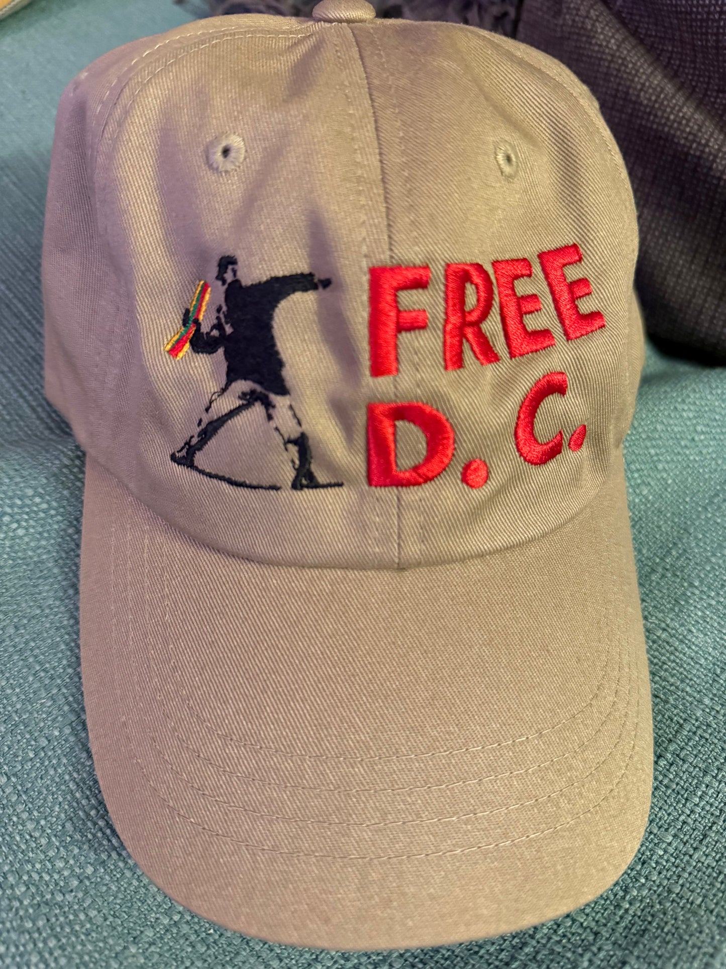 Free D.C. Sandwich Guy embroidered hat