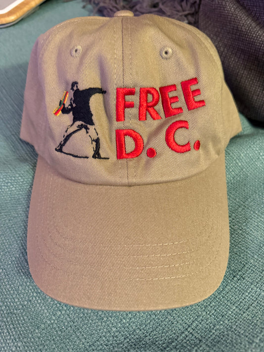 Free D.C. Sandwich Guy embroidered hat