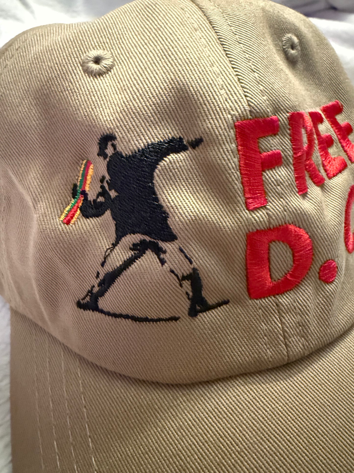 Free D.C. Sandwich Guy embroidered hat