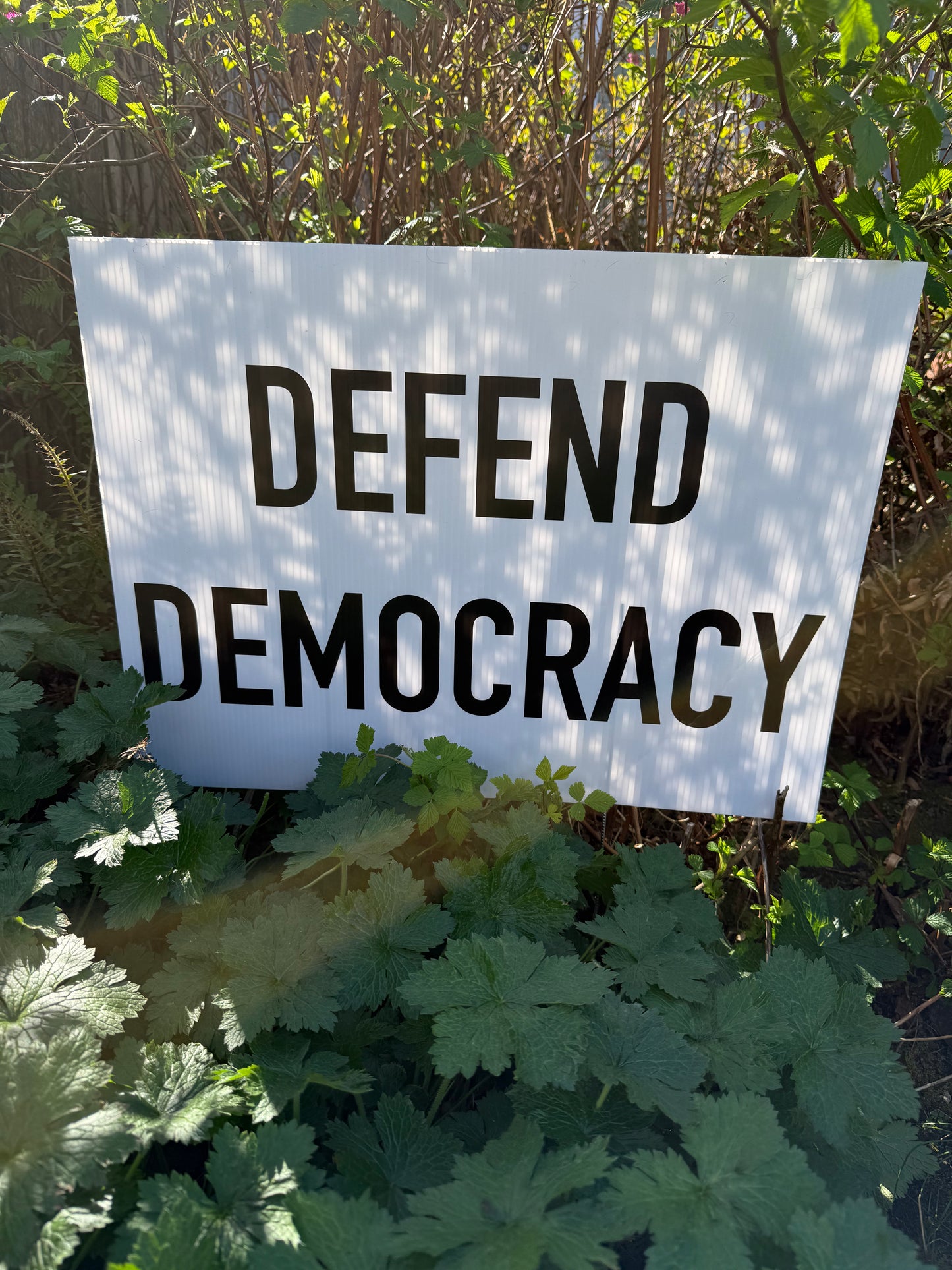 Defend Democracy yard sign
